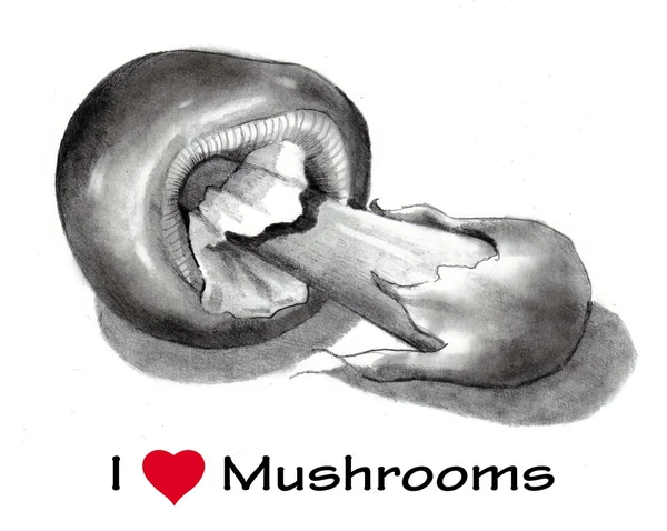 我爱 （心） 蘑菇： 铅笔绘图，现实主义 — 图库照片