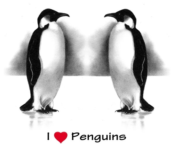 I Love (Heart) Penguins: Pencil Drawing — Stock Photo, Image