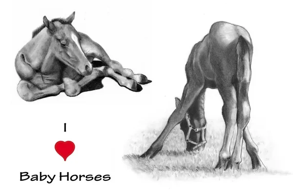 I love (heart) baby horses: Bleistiftzeichnung — Stockfoto