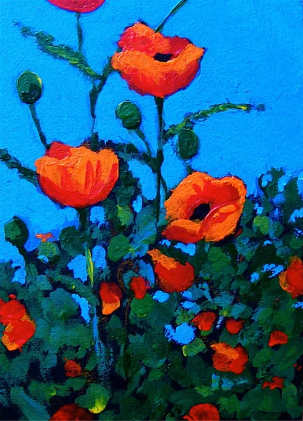 明亮的红色罂粟花: 丙烯画 — 图库照片