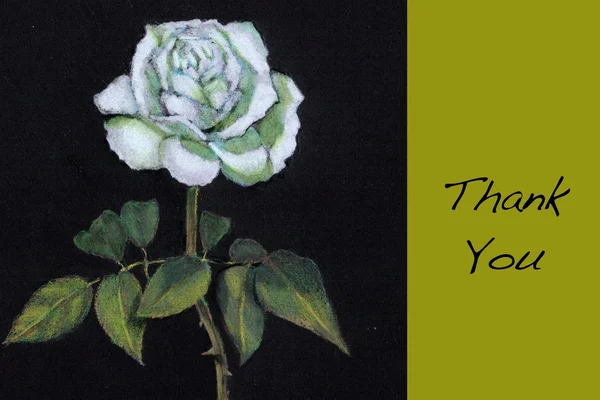 Bílé růže: Poznámka: Děkuji květinové — Stock fotografie