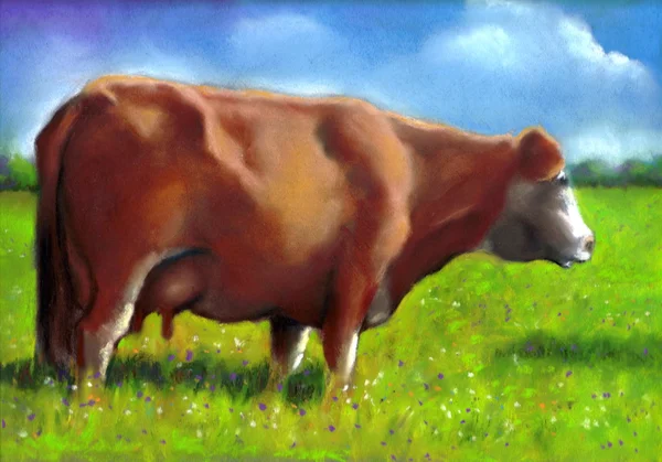Pintura Pastel de Vaca Castanha em Pastagem Ensolarada — Fotografia de Stock