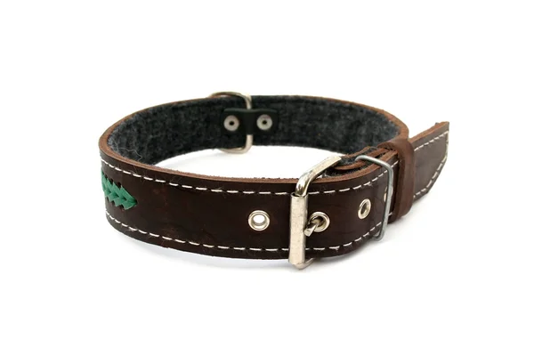 Leather animal collar isolated — Stock Photo, Image