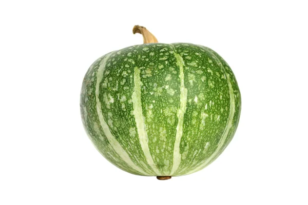 Green pumpkin isolated — Stock Photo, Image