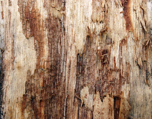 Fundo grunge marrom de madeira — Fotografia de Stock