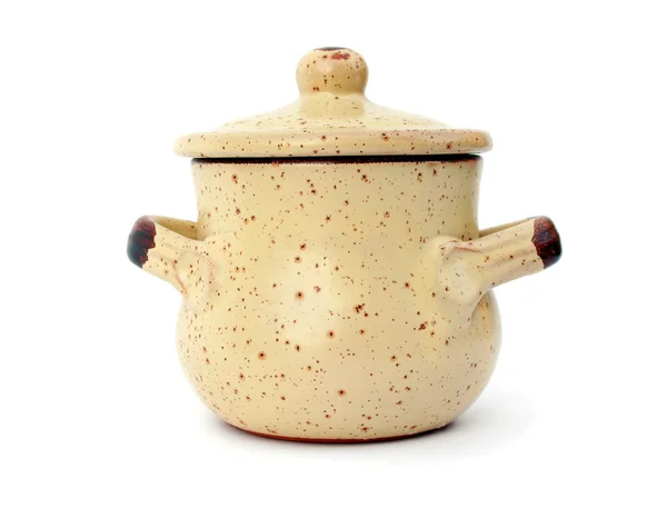 Domestic pot isolated — Stock Photo, Image
