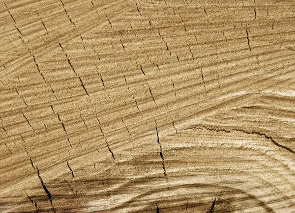 Fondo grunge marrón madera — Foto de Stock
