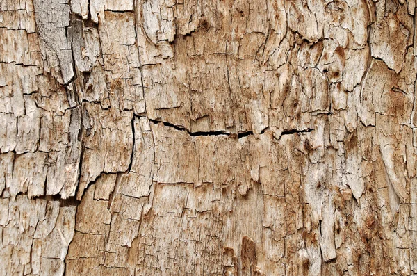 Wooden grunge texture — Stock Photo, Image