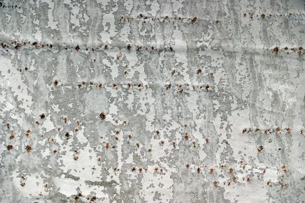 硬壳层的杨树 — 图库照片