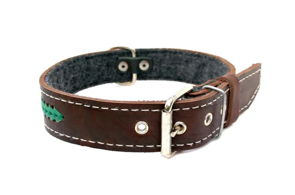 Leather animal collar isolated — Stock Photo, Image