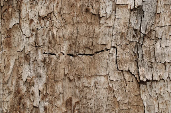 Textura grunge de madeira — Fotografia de Stock