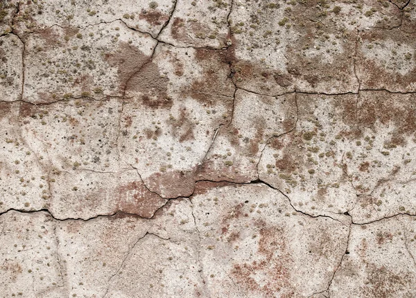 Grunge çimento arka plan — Stok fotoğraf