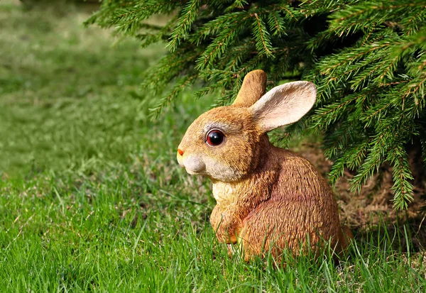 Conejo marrón —  Fotos de Stock