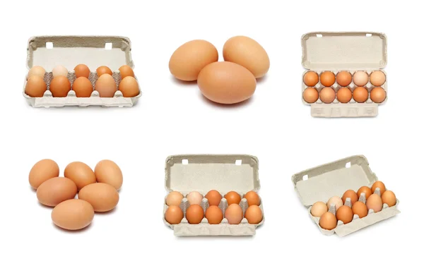 Conjunto de huevos —  Fotos de Stock