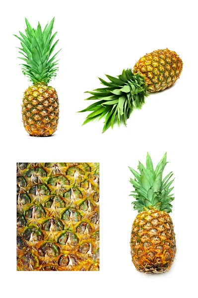 Sada izolované ananas — Stock fotografie