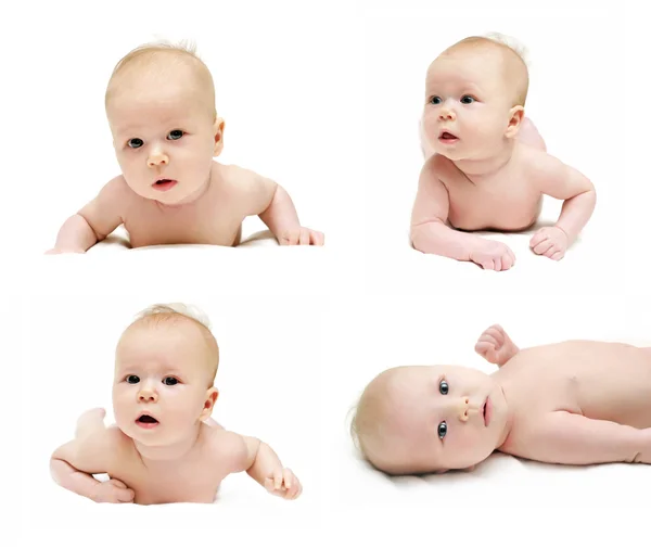 Newborn babys is crawling set — Stock Photo, Image