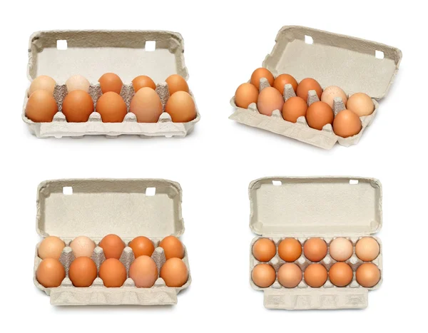 Яйцо в коробке — стоковое фото