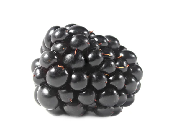 Dojrzałe blackberry na białym tle — Zdjęcie stockowe