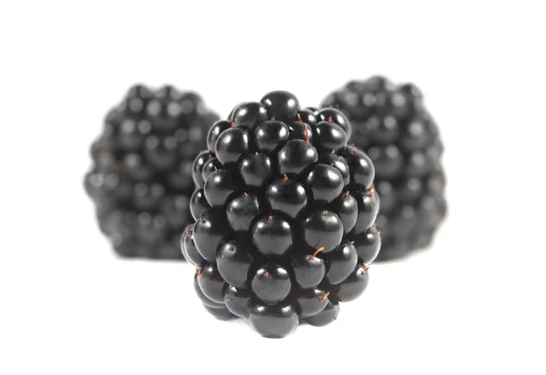 Blackberries isolated — Stock Photo, Image