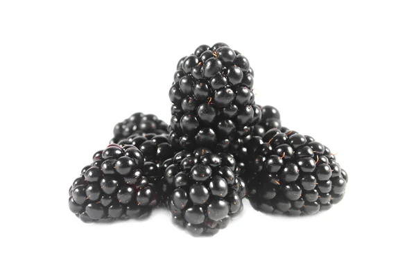 Blackberries isolated — Stock Photo, Image