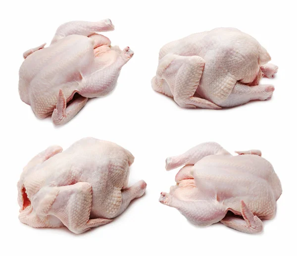 Rohes Hühnerset — Stockfoto