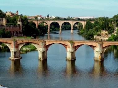 Albi (France) Midi-Pyrénées, Tarn Dep. clipart