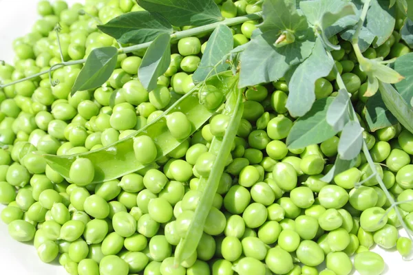 Peas background — Stock Photo, Image