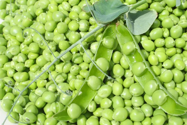 Green Peas — Stock Photo, Image