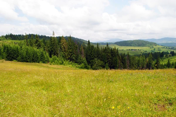 stock image Mountain landscape