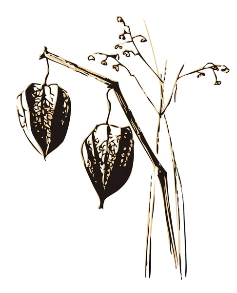 Hermosa flor seca con cajas de frutas y hierba — Archivo Imágenes Vectoriales