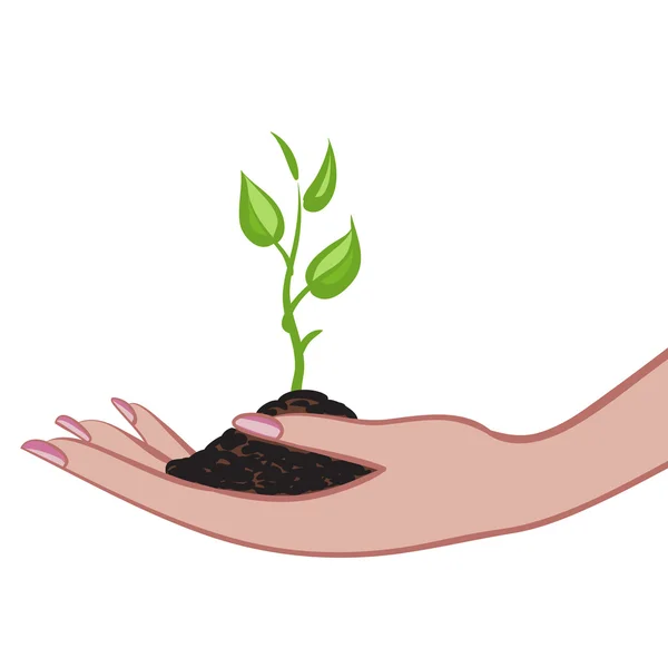 Cultiver des plantes vertes dans la paume comme symbole de protection de la nature — Image vectorielle
