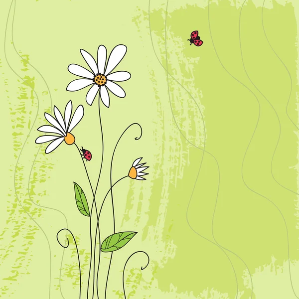 Beruška na heřmánkový květ a grunge zelené trávě pozadí — Stockový vektor