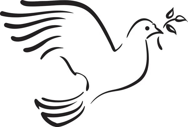 Vektor weiße Taube mit Zweig — Stockvektor