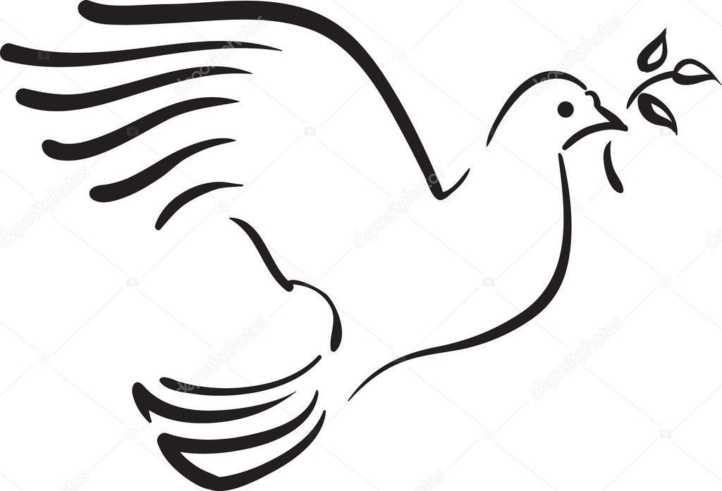 Vector white dove with branch