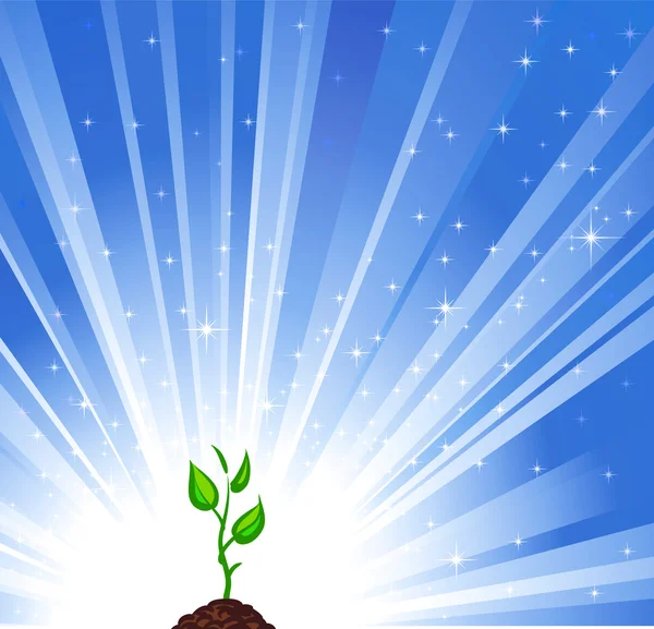 Groeiende groene plant en blauwe sterren achtergrond als een symbool van natu — Stockvector