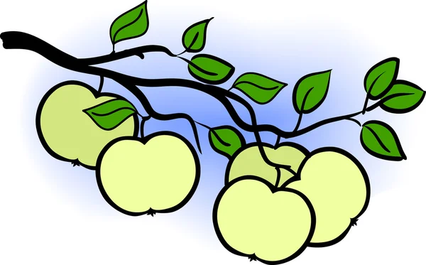 Belo ramo de maçã verde de árvore e céu azul — Vetor de Stock