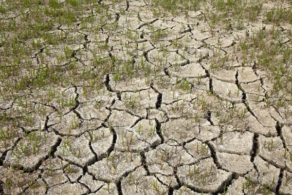 Трещины почвы в сухой сезон — стоковое фото
