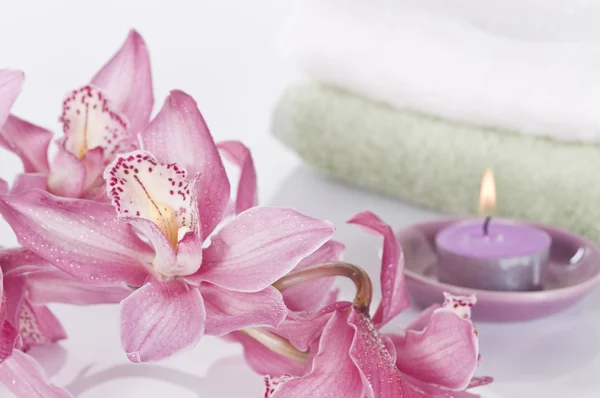 Wellness-Konzept Stillleben mit Orchidee — Stockfoto