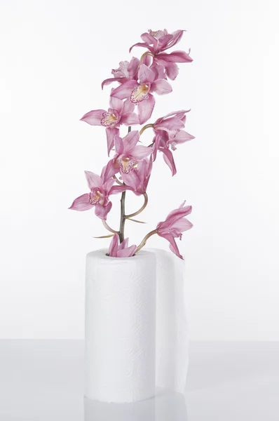 WC-papír és rózsaszín orchidea koncepció csendélet — Stock Fotó