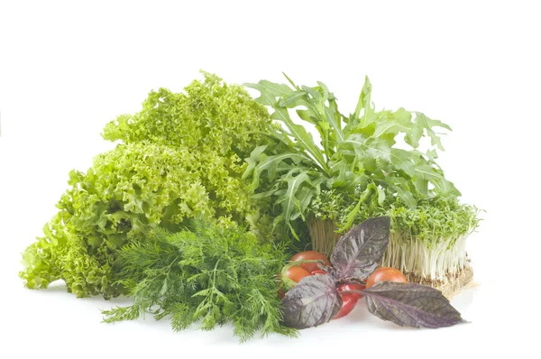 Čerstvé syrové bylinky a zelenina — Stock fotografie