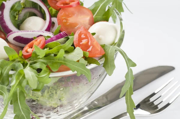 Taze yeşil sebze salatası — Stok fotoğraf