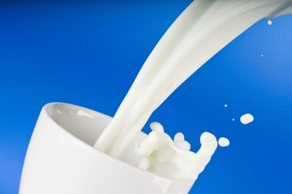 Ρίχνει το γάλα σε ένα λευκό φλυτζάνι — Φωτογραφία Αρχείου