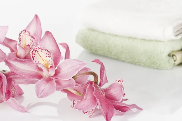 Spa concept still life with orchid — Stock Photo, Image