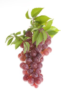 Grape food over white clipart