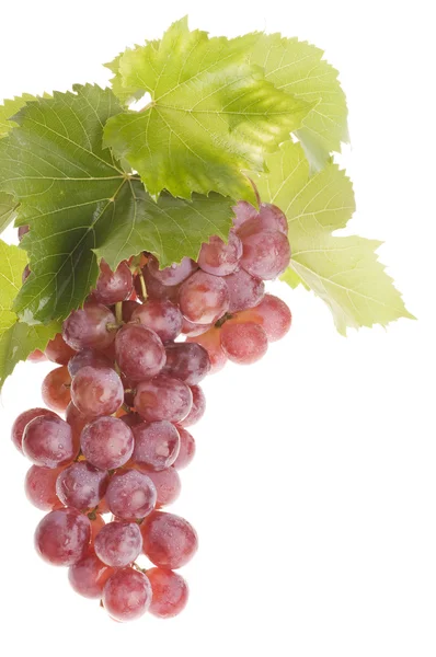 Comida de uva sobre branco — Fotografia de Stock