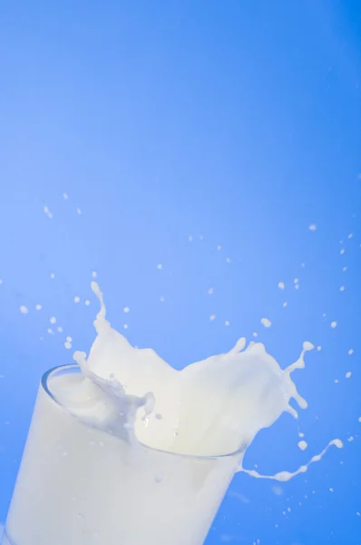 Γάλα βουτιά από γυαλί — Φωτογραφία Αρχείου