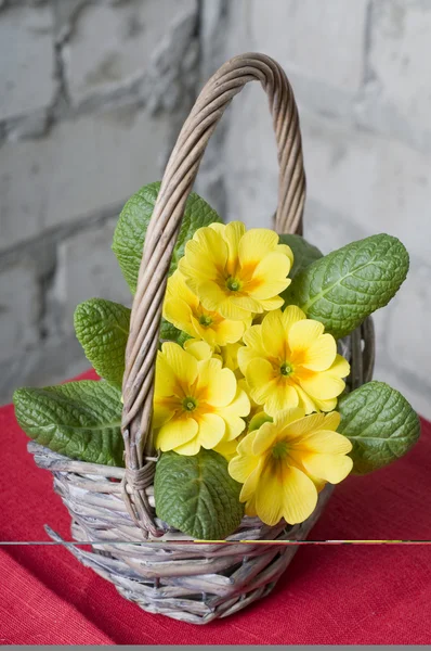 Sepet içinde çuha çiçeği — Stok fotoğraf