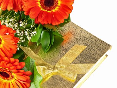 gerbera giftbox ile