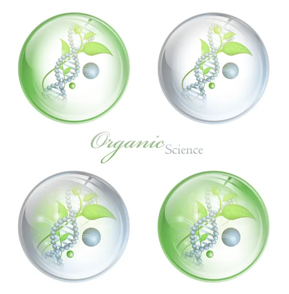 Organic Science glossy balls — Stock Vector