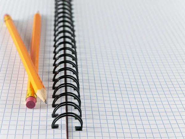 Sheet in a cage with two pencils — Stock Photo, Image